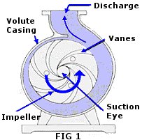 Centrifugal Pump Diagram