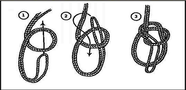Triple Bowline Knot images