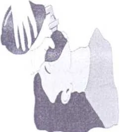 Bag-Valve-Mask (BVM) (manual resuscitator)