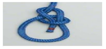 Bowline