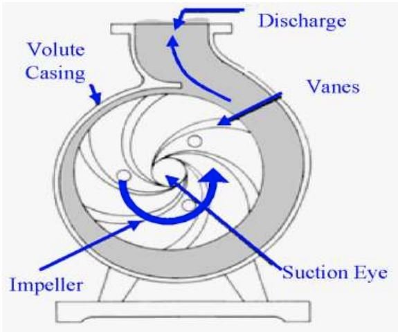 Centrifugal Pump