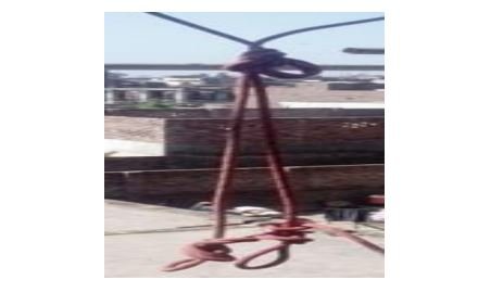 Long Tail Bowline Knot