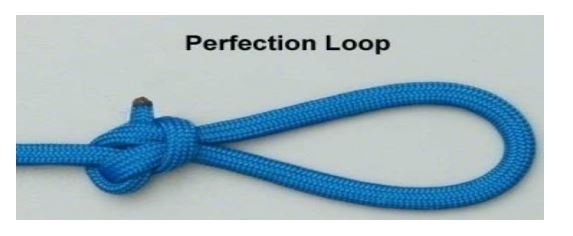 Loop Knot