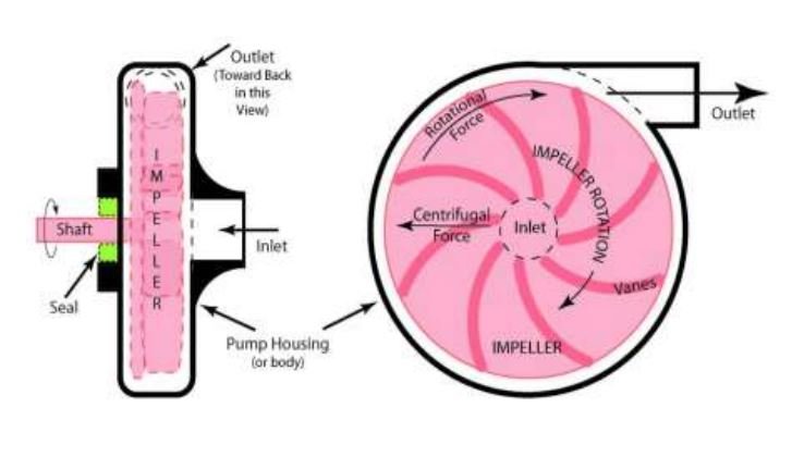  Parts of Centrifugal Pump