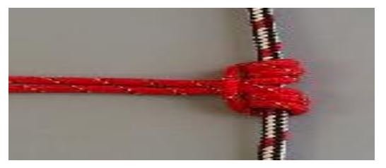 Prussic Knot