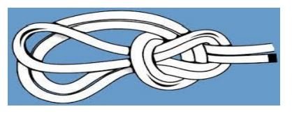 Triple Bowline Knot
