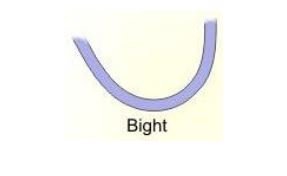bight