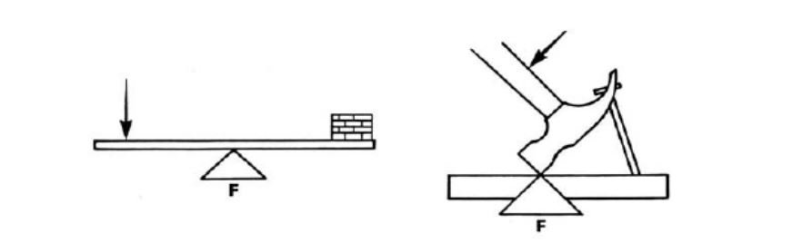 class one lever examples